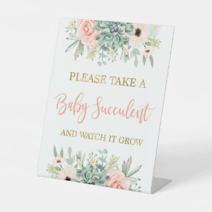 Nehmen Sie ein Babysukkulat Sockelschild