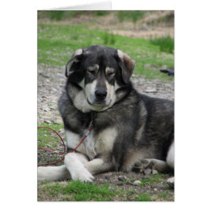 Nehmen Sie es einfach!