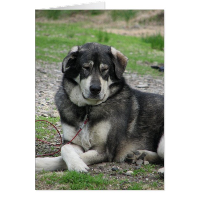 Nehmen Sie es einfach! (Vorne)