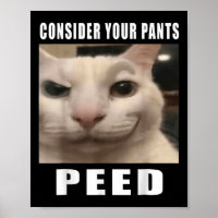 Nehmen Sie Ihre Pants Ping Alberne Katze Männer Fr