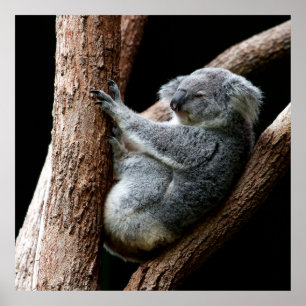 NEHMEN SIE IHRE ZEIT POSTER