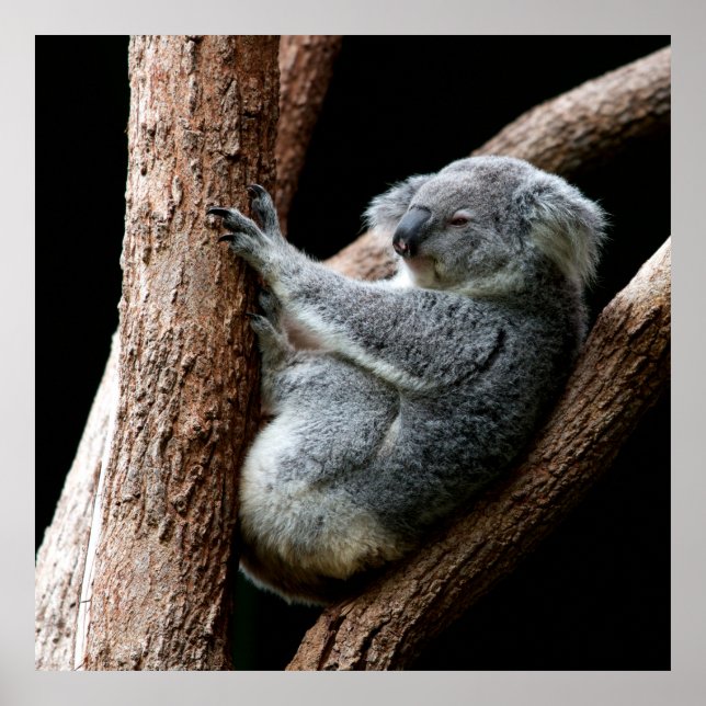 NEHMEN SIE IHRE ZEIT POSTER (Vorne)