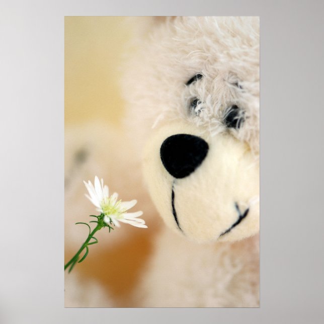 Nehmen Sie sich Zeit, um die Blume zu riechen Poster (Vorne)