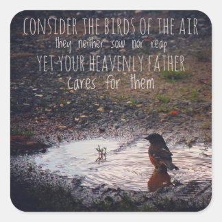 Nehmen wir die Vögel der Luftkleber. Quadratischer Aufkleber