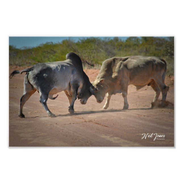 Neil Jones Fotografy - King of the Road Fotodruck (Vorne)