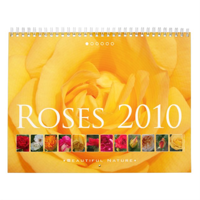 (nein 1) Rosen 2010: Schöne Natur - Kalender (Titelbild)