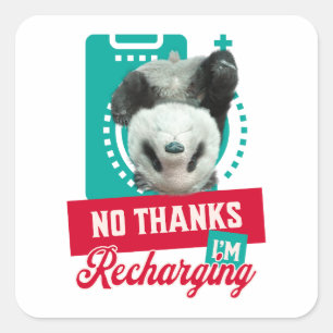 Nein danke, ich lade Panda Bear Cub Battery wieder Quadratischer Aufkleber