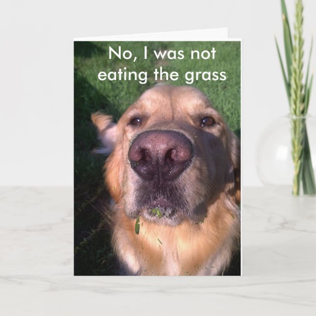 Nein, ich war nicht karte (Vorderseite)