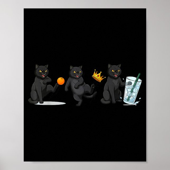 Nein, keine Könige, keine Eiskatze, lustiger polit Poster (Vorne)