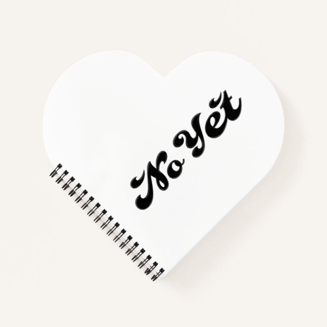 Nein Notizbuch (Vorderseite)
