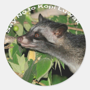 Nein zu Kopi Luwak Sticker