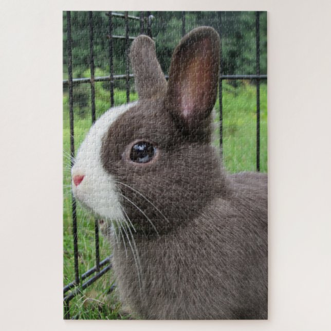 Neitherland Zwarf Pet Bunny Rabbit Jigsaw Puzzle (Vertikal)