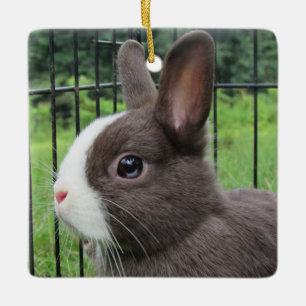 Neitherland Zwarf Pet Bunny Rabbit Keramikornament