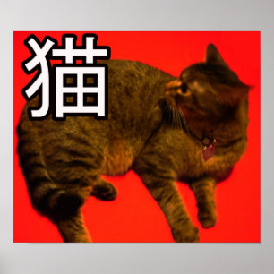 Neko Plakat