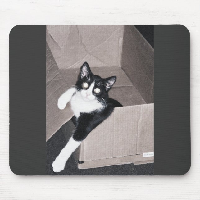 nekoo mousepad (Vorne)