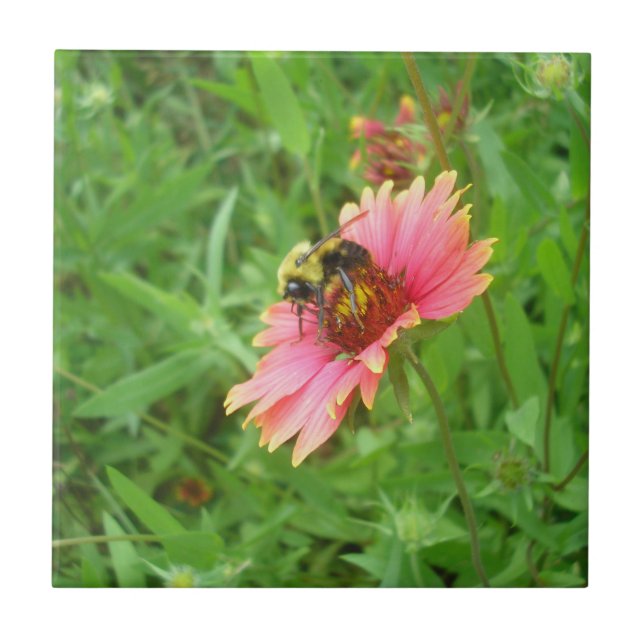 Nektar des Lebens Fliese (Vorderseite)