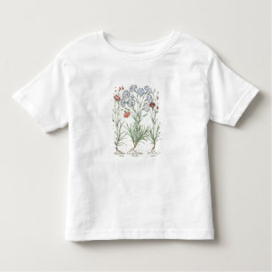 Nelken: 1. Caryophyllus multiplex flore albo,2 Kleinkind T-shirt
