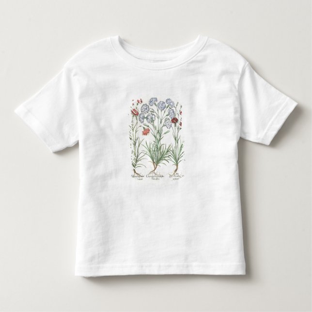Nelken: 1. Caryophyllus multiplex flore albo,2 Kleinkind T-shirt (Vorderseite)