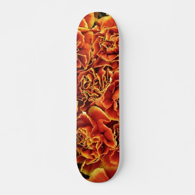 Nelken Skateboard (Vorne)