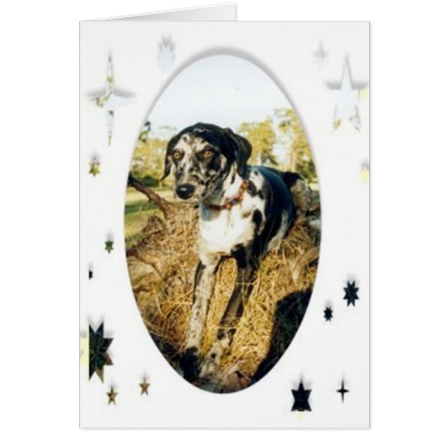 Nellie Stars (Vorne)