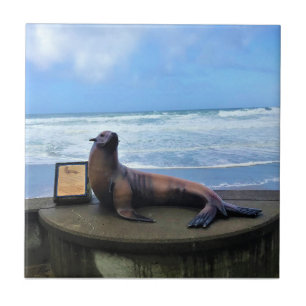 Nelscott Reef, Lincoln City, Oregon Fliese