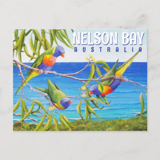 Nelson Bay Australia Birds Lorikeet Beach Malerei Postkarte