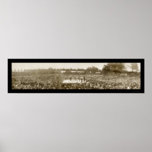 Nelson Britt Boxing Foto 1905 Poster