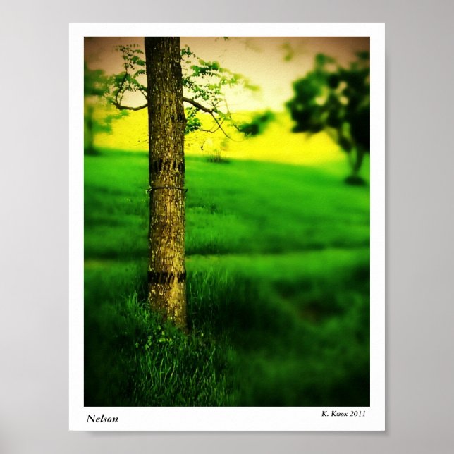 Nelson Poster (Vorne)
