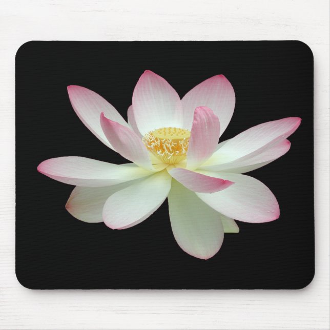 Nelumbo nucifera mousepad (Vorne)