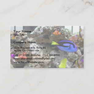 Nemo mit seiner Gang Visitenkarte