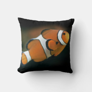 Nemo Pillow Kissen