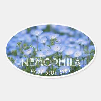 NEMOPHILA(Baby Blue Eyes) Ovaler Aufkleber