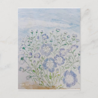 nemophila postkarte