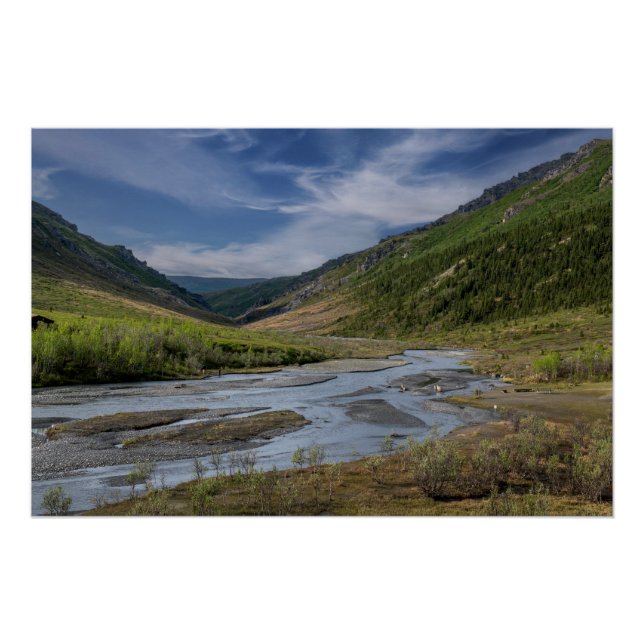 Nenana Flussbett Alaska Poster (Vorderseite)