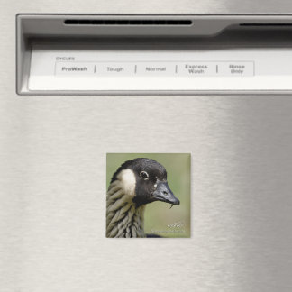 Nene Hawaiian Gans Magnet