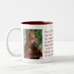 Nennen Sie meinen Lieblingssache-Orang-Utan Zweifarbige Tasse