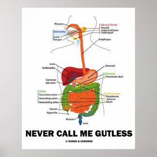 Nennen Sie mich nie Gutless (Digestive System Spaß Poster