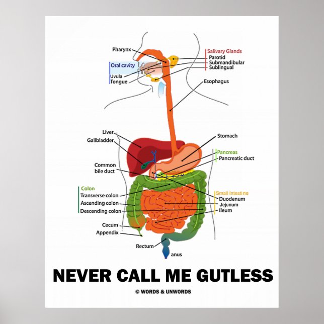 Nennen Sie mich nie Gutless (Digestive System Spaß Poster (Vorne)