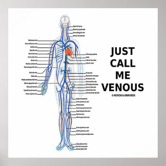 Nennen Sie mich Venus Venen Venensystem Poster