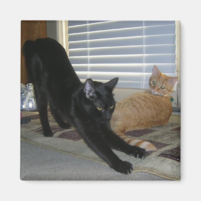 Neo- und Isabelle-Magnet Magnet (Vorne)