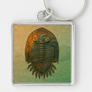 Neometacanthus Fossil Trilobit Schlüsselanhänger