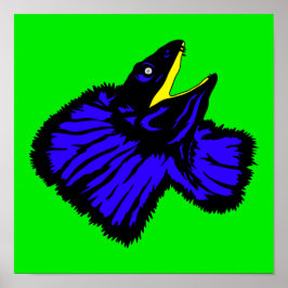 Neon Blue Frilled-Nackenechard Poster