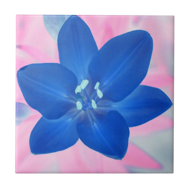 Neon Blue Lily Blume Rosa Hintergrund Fliese (Vorderseite)