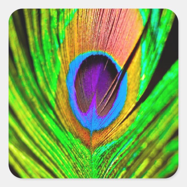 Neon Colors Peacock Feather Quadratischer Aufkleber (Vorderseite)