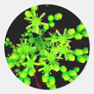 Neon Flower Runder Aufkleber
