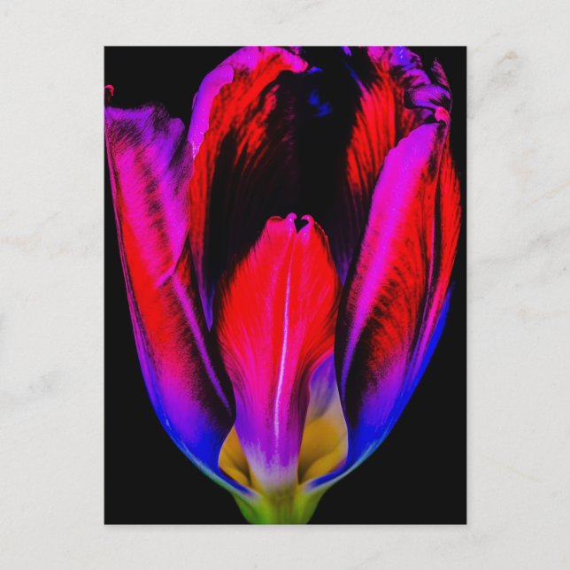 Neon Glow Tulip Postkarte (Vorderseite)