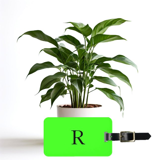 Neon Green Bright farbenfrohe Monogram Initial Tex Gepäckanhänger (Von Creator hochgeladen)