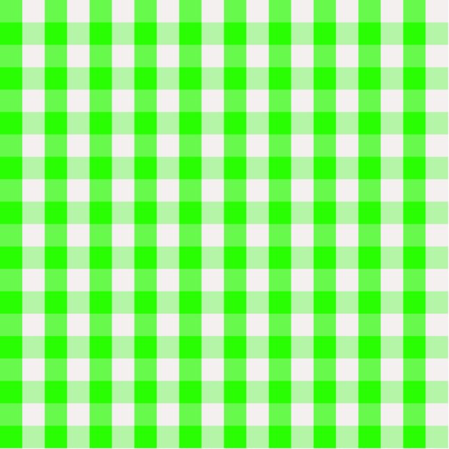 Neon Green Gingham Pattern von Shirley Taylor Fotoskulptur Schlüsselanhänger (Vorne)