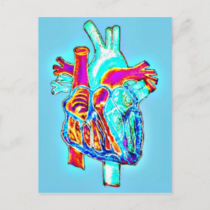 Neon Hand Drawn Anatomisches Herz Postkarte