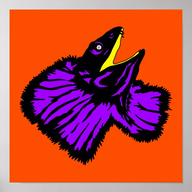 Neon Lila Frilled-Nackenechard Poster (Vorne)